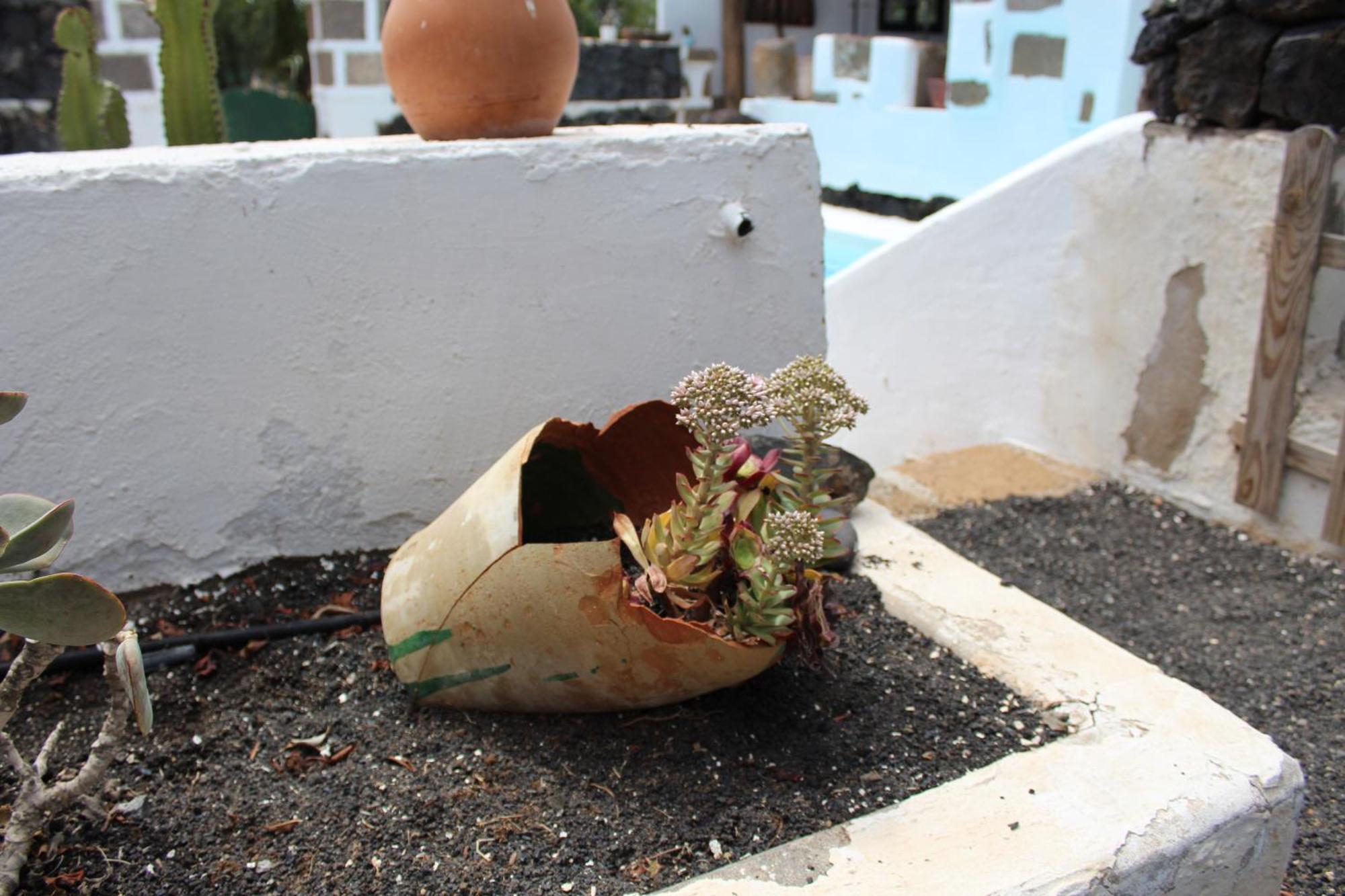 Casa Timanfaya In Tegoyo Villa Conil Exterior photo